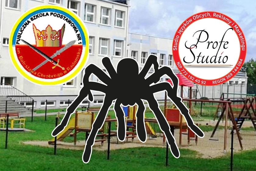 Cyberbezpieczni z Profe Studio